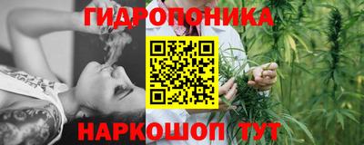 твердый Будённовск