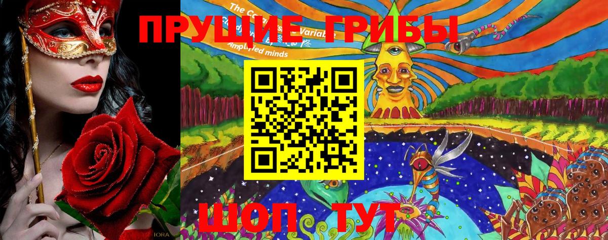 Псилоцибиновые грибы GOLDEN TEACHER  Вход с VPN  Псилоцибиновые грибы Psilocybe  Туймазы 