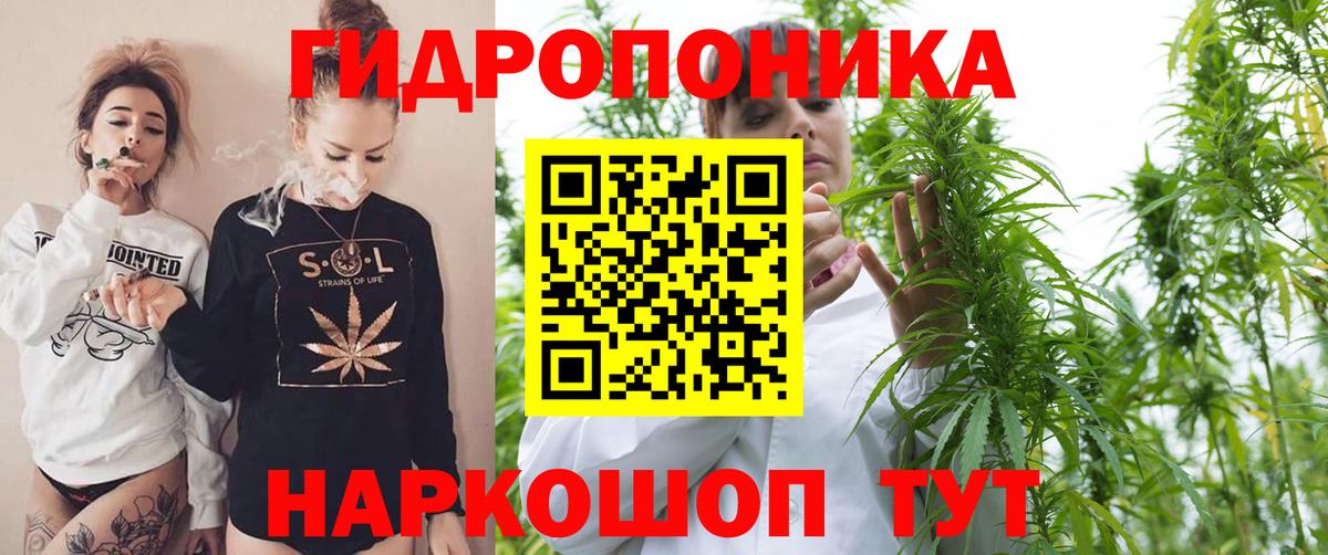 Бошки Шишки AK-47 Туймазы